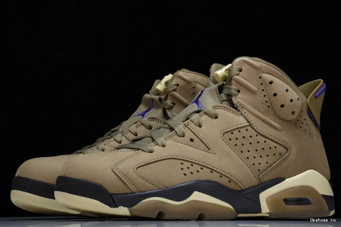 6 Retro FD1643-300  Brown Gore-Tex Kelp Jordan 0807